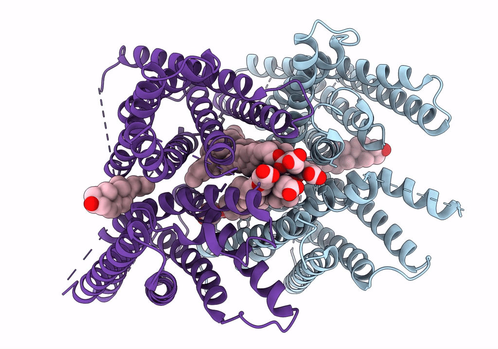 6nf4 image