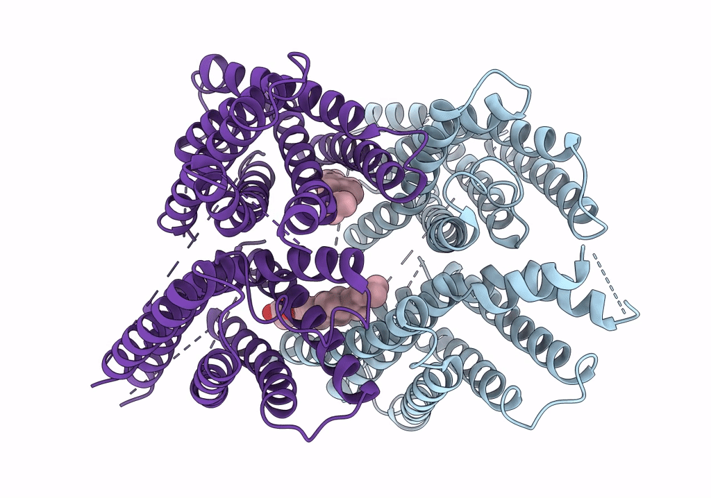 6nf6 image
