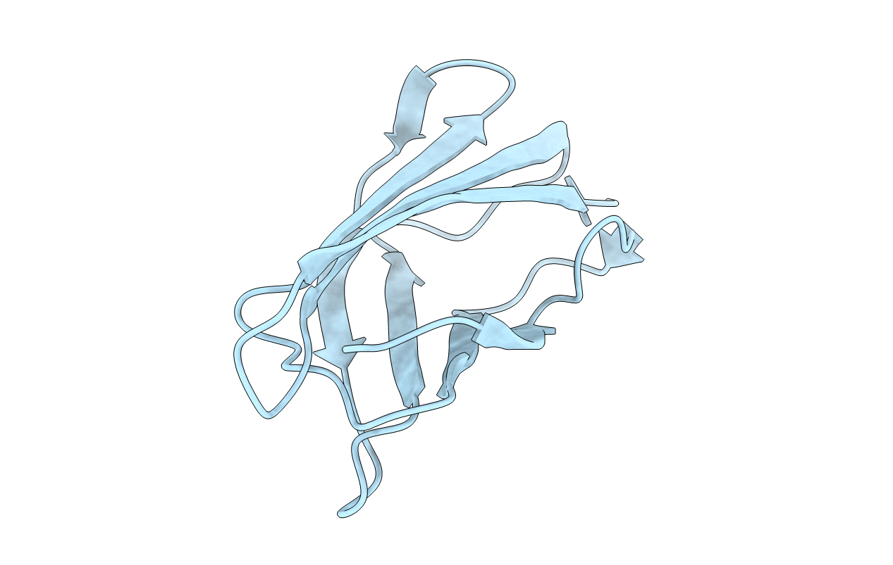 6NFS image