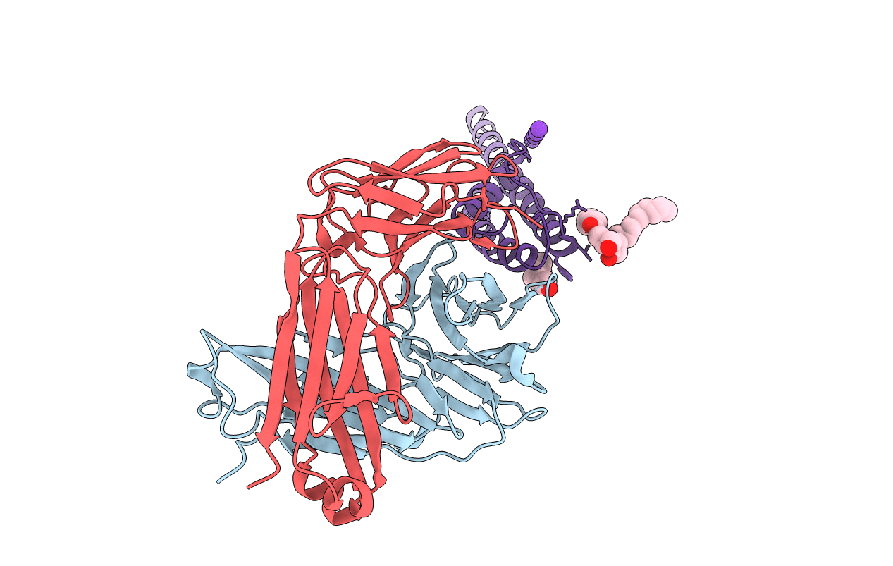 6NFV image