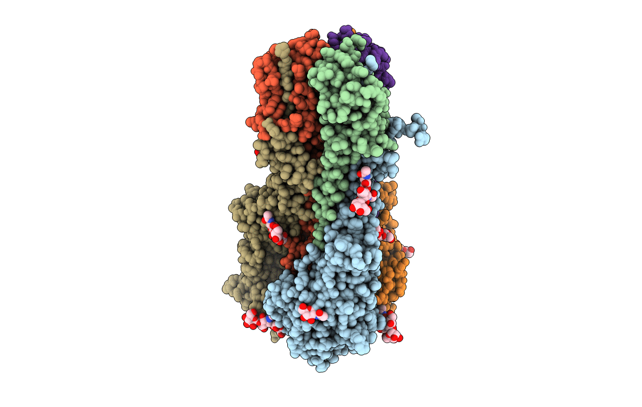 6NHP image