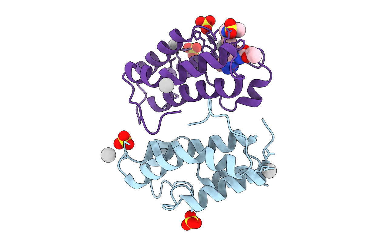 6NIM image