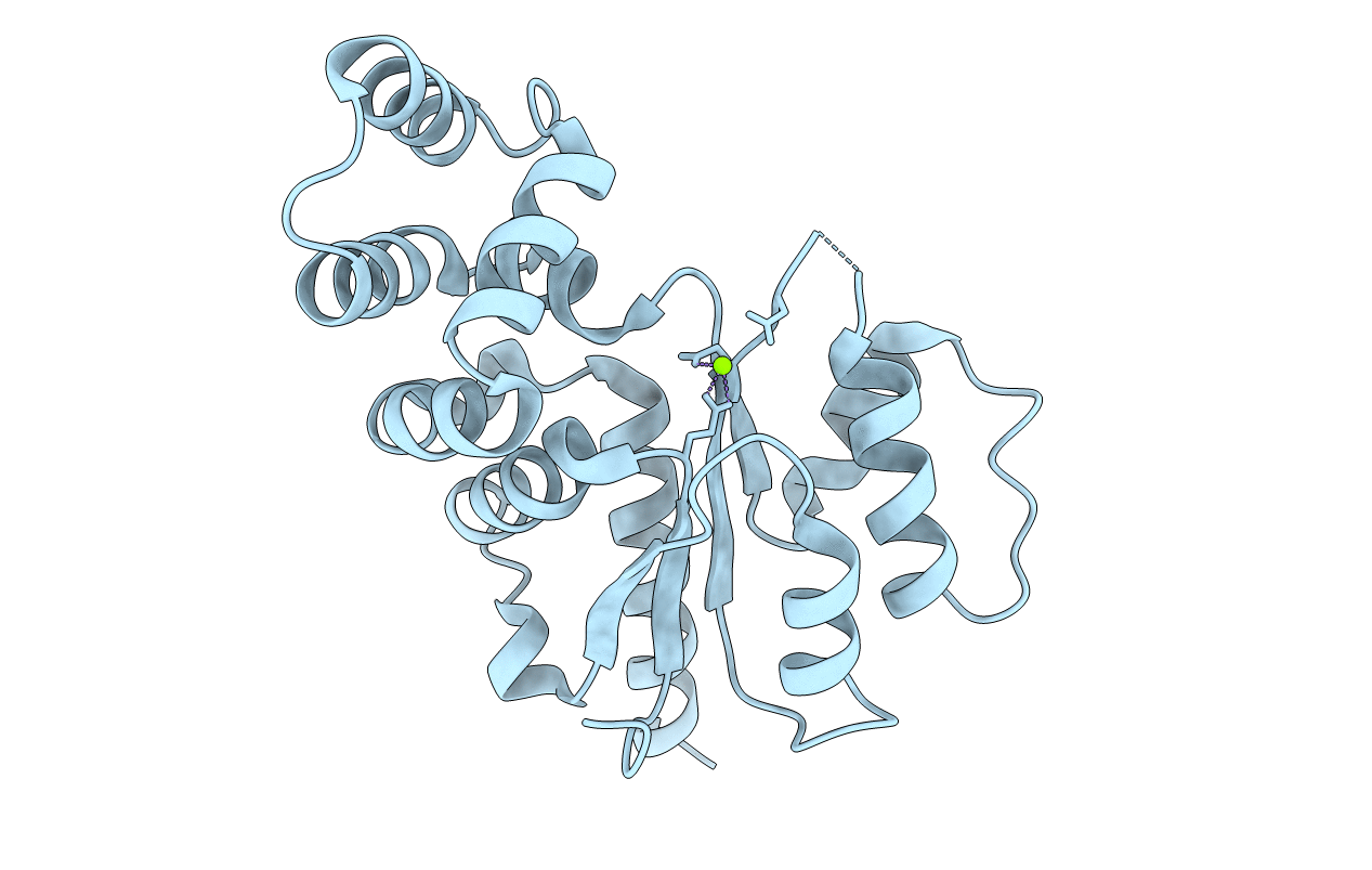 6NJV image