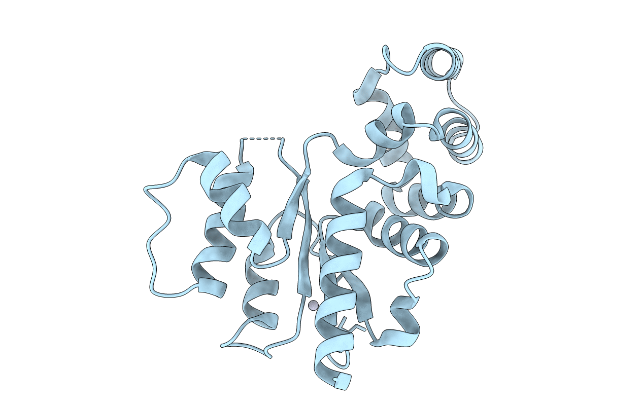 6NJX image