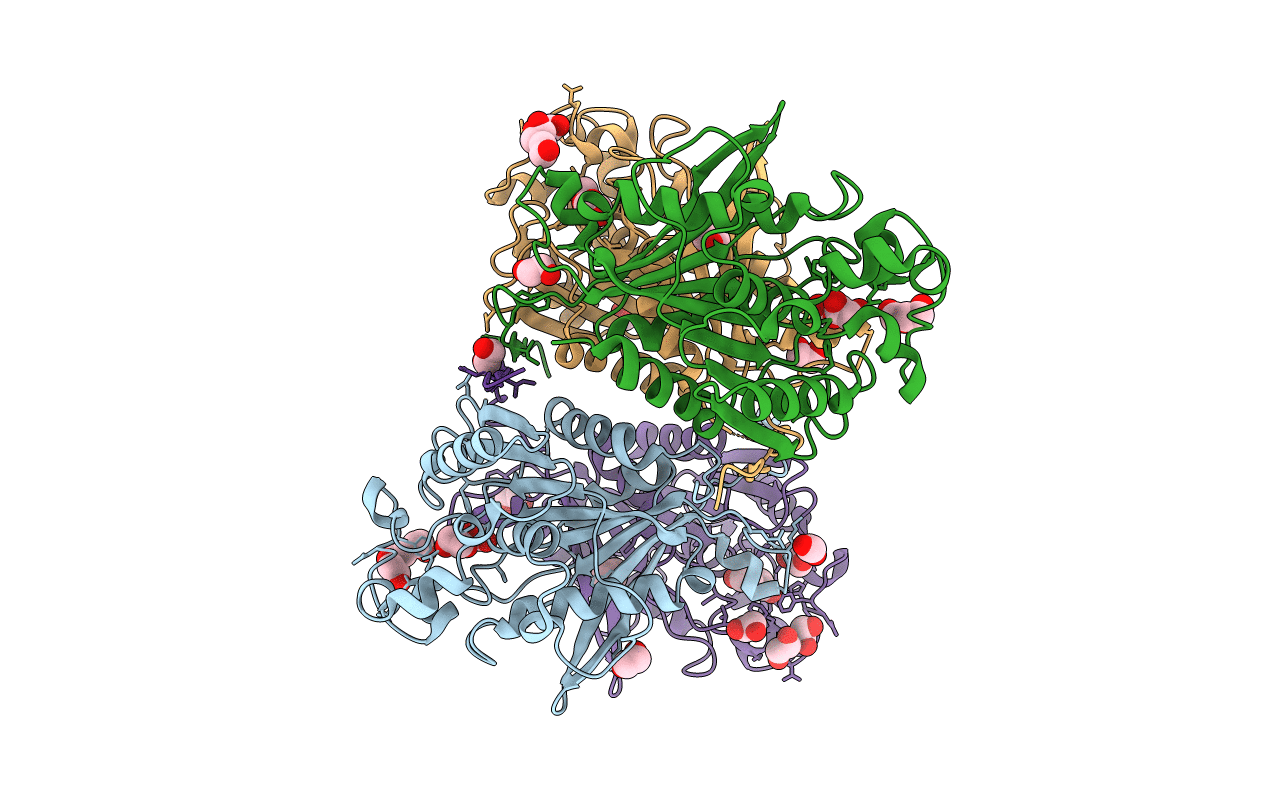 6NKF image