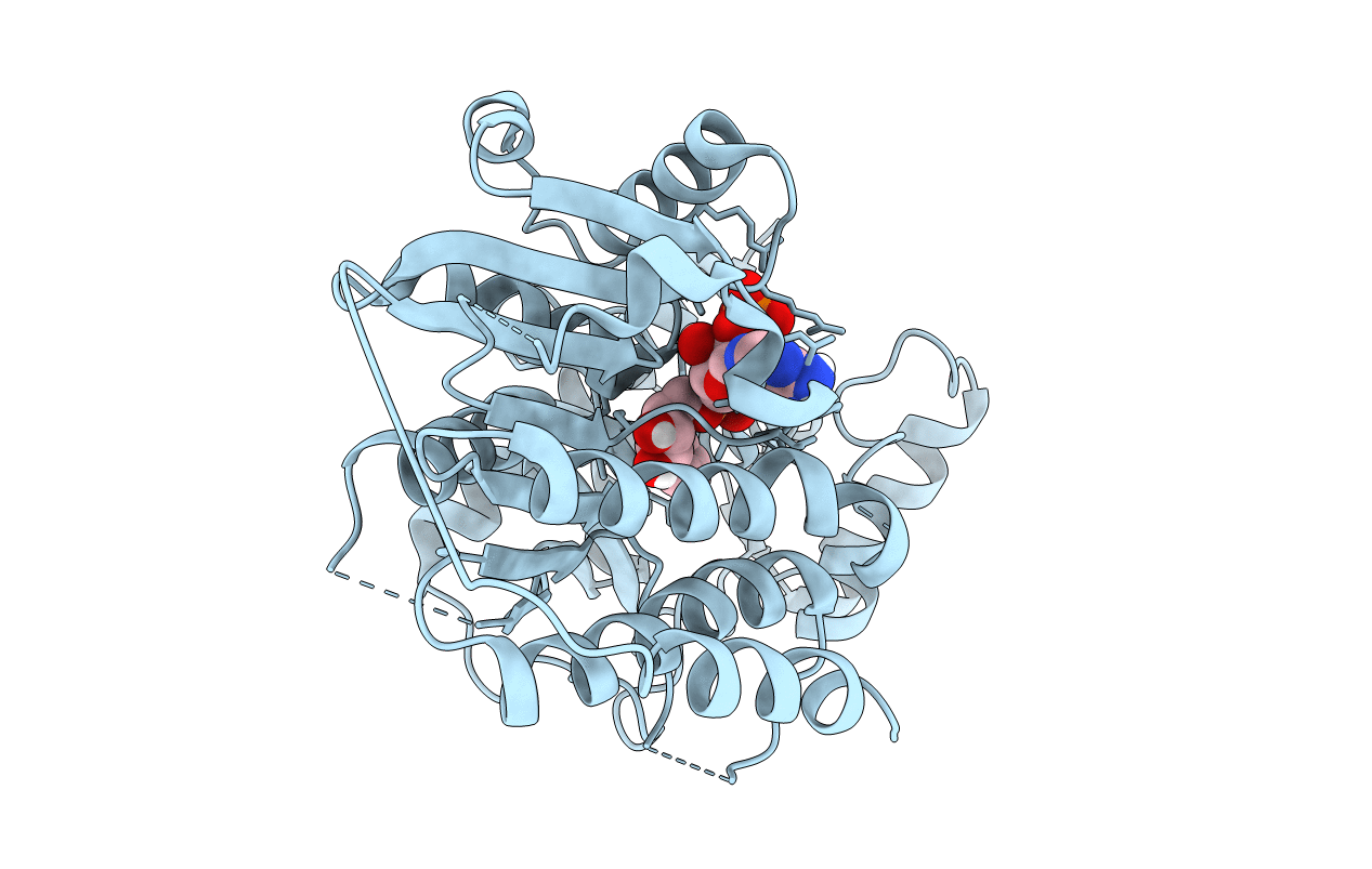 6NKI image