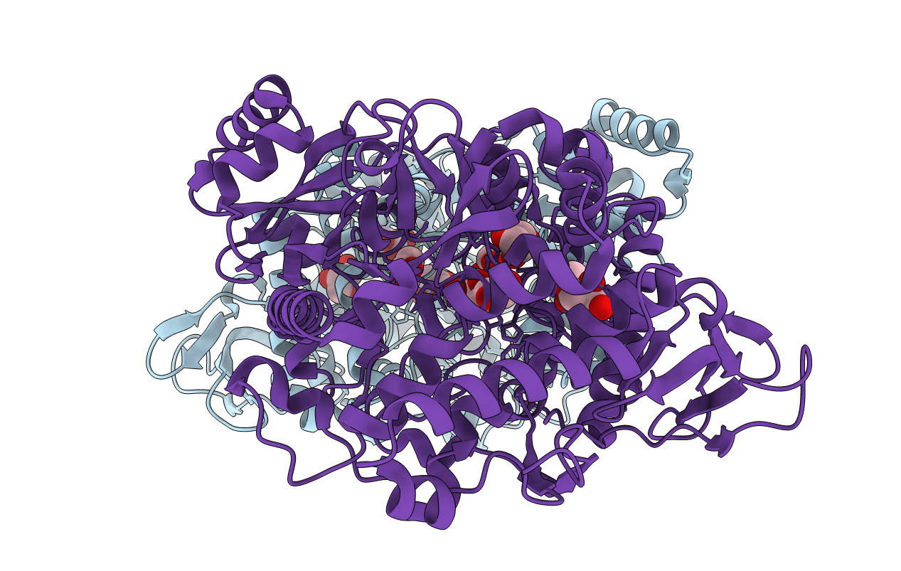 6NL2 image