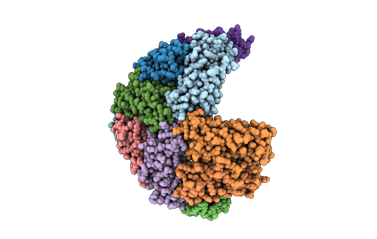 6NLF image