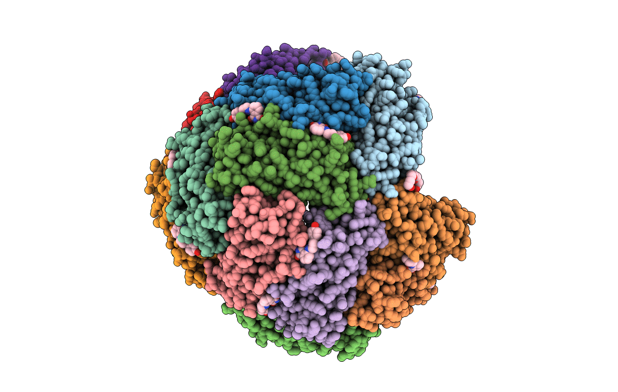 6NLK image