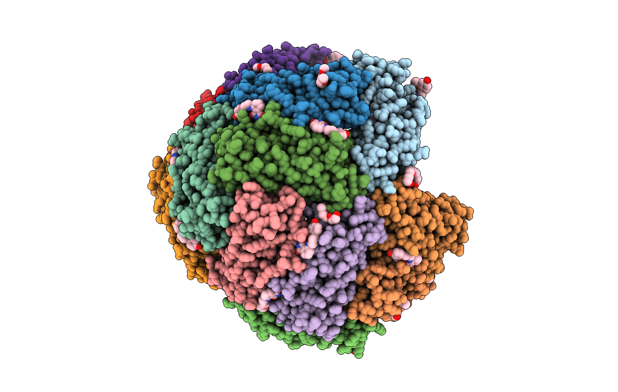 6NLM image