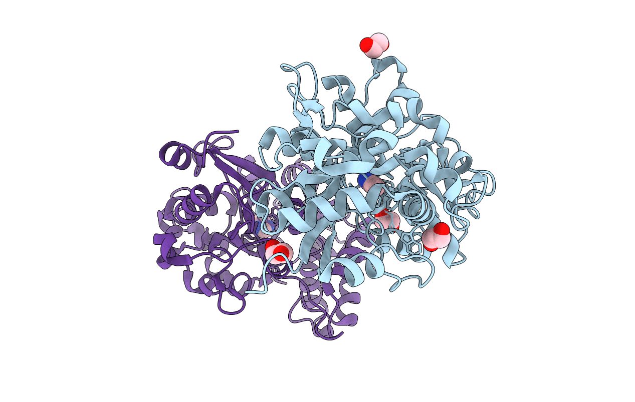6NLP image