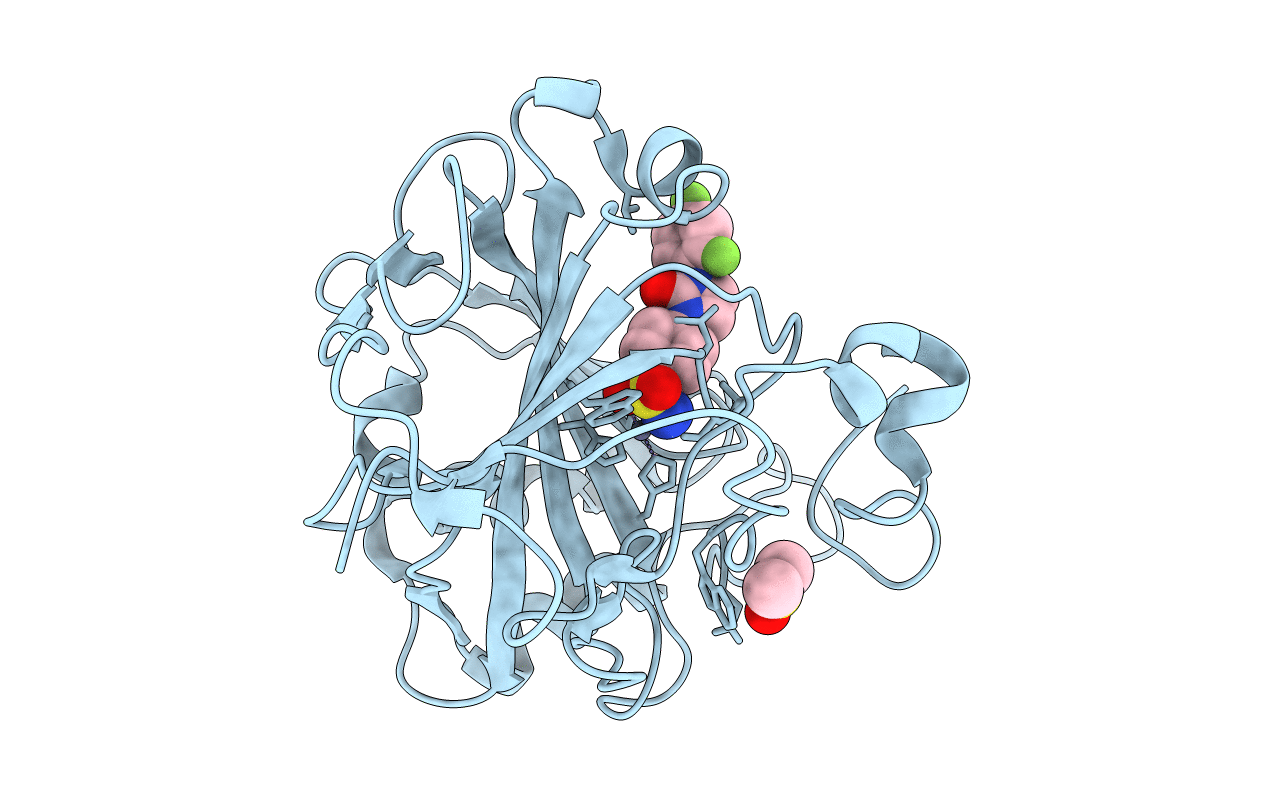 6NLV image