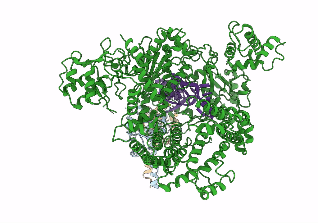 6NMA image