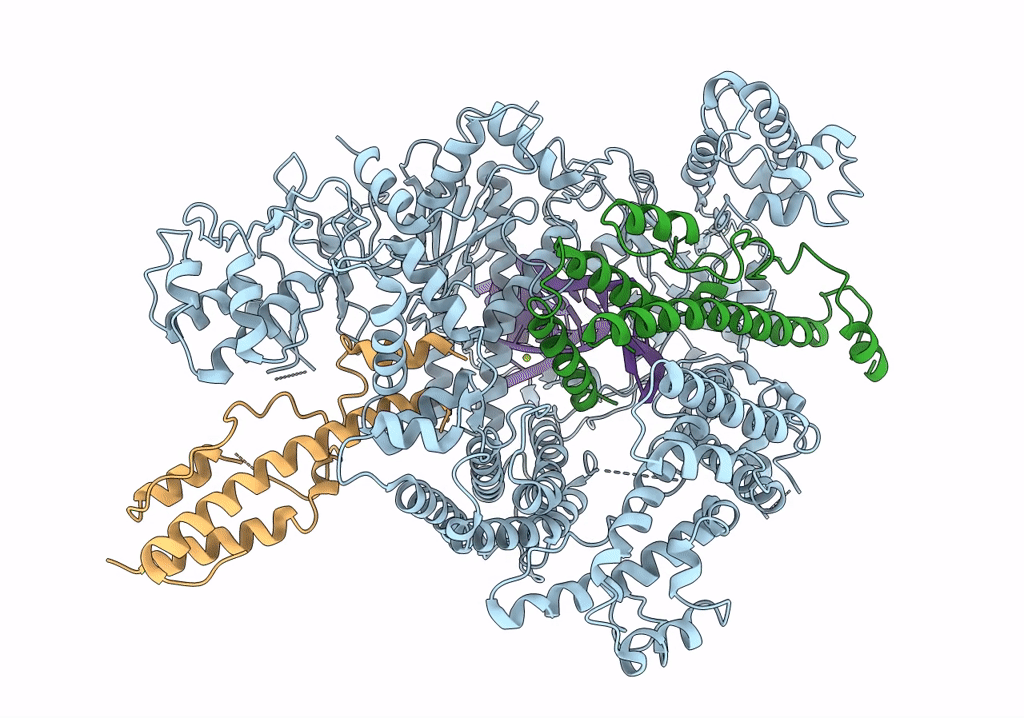 6NMC image