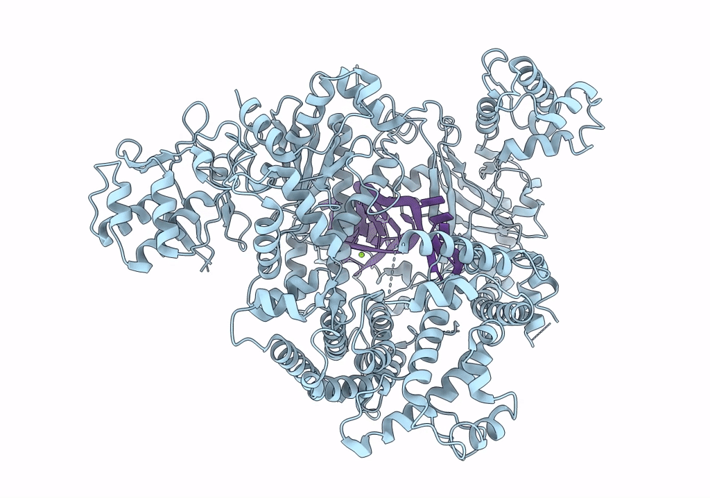 6NME image