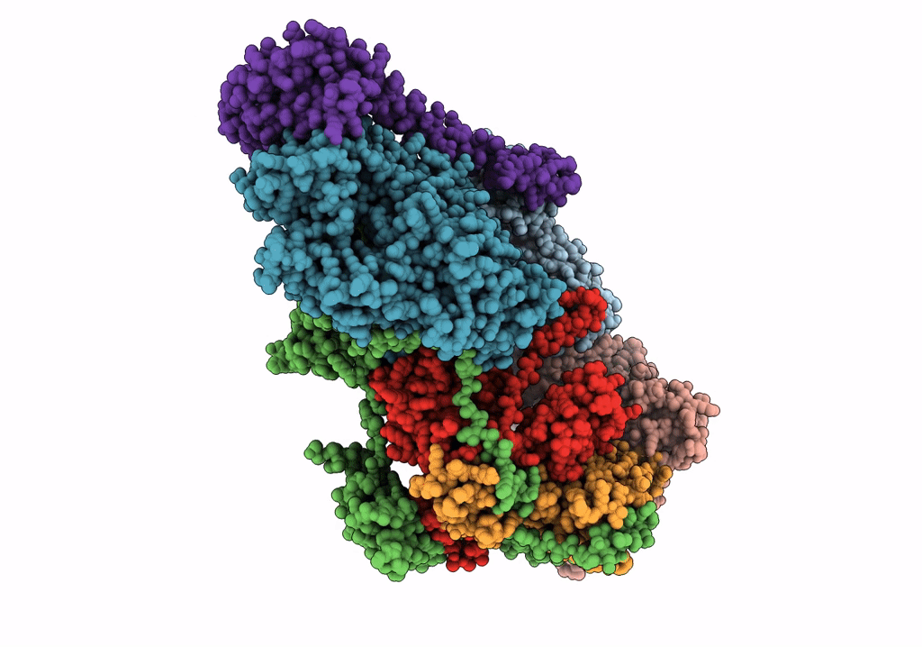 6NMI image