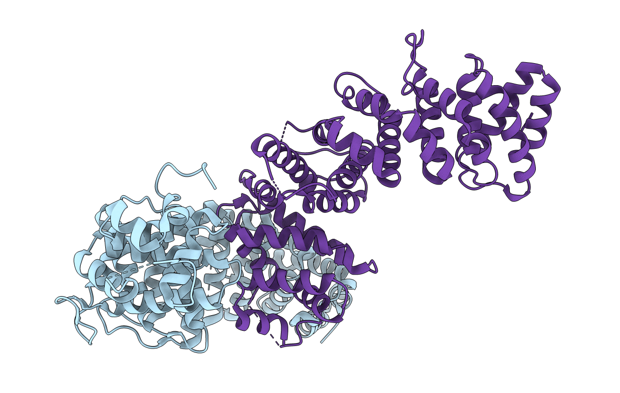 6NMJ image