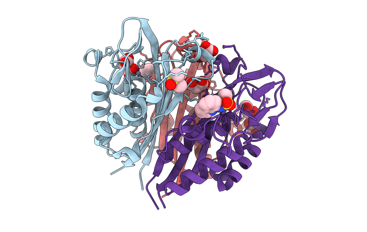 6NMO image