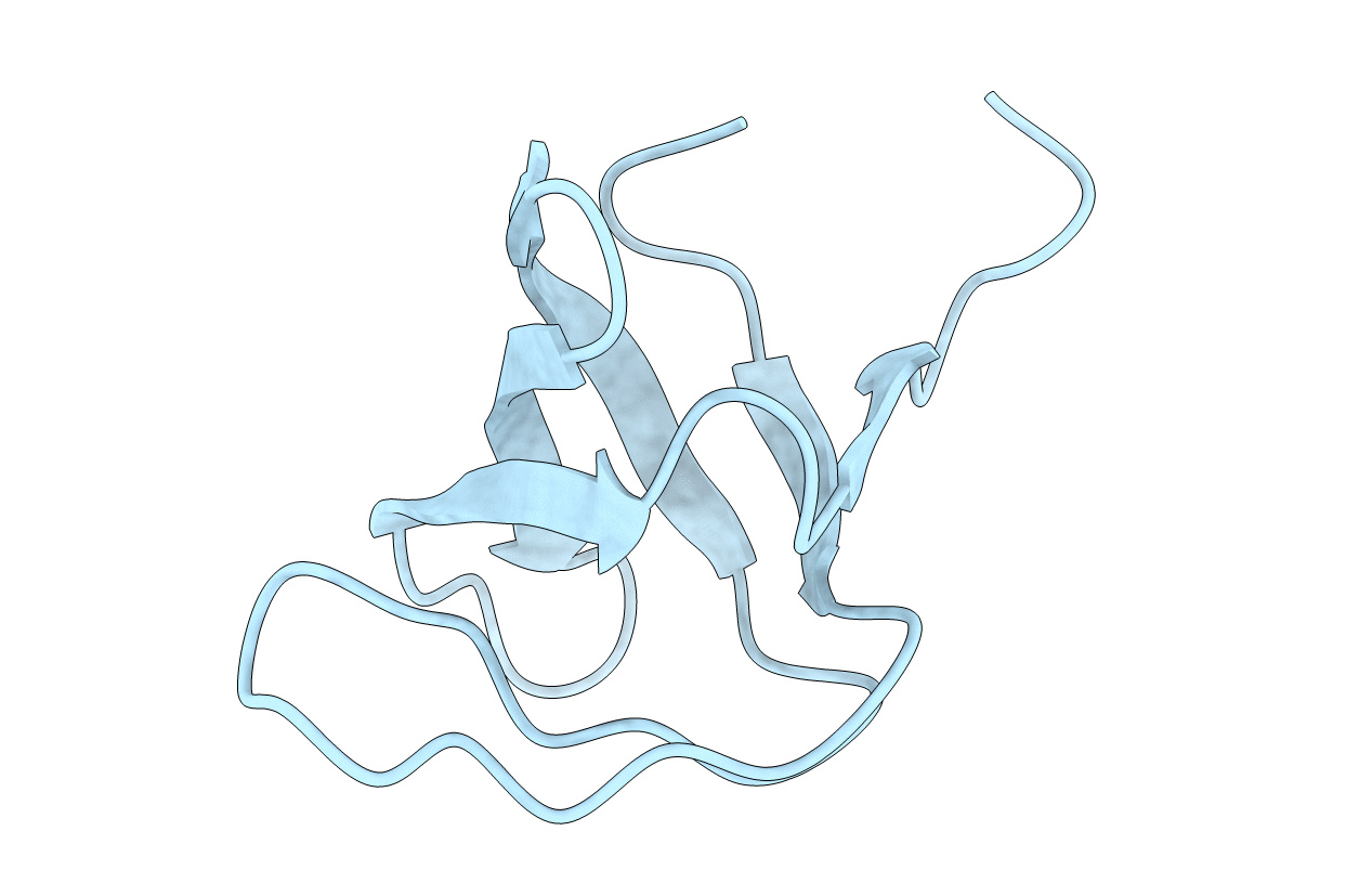 6NMW image
