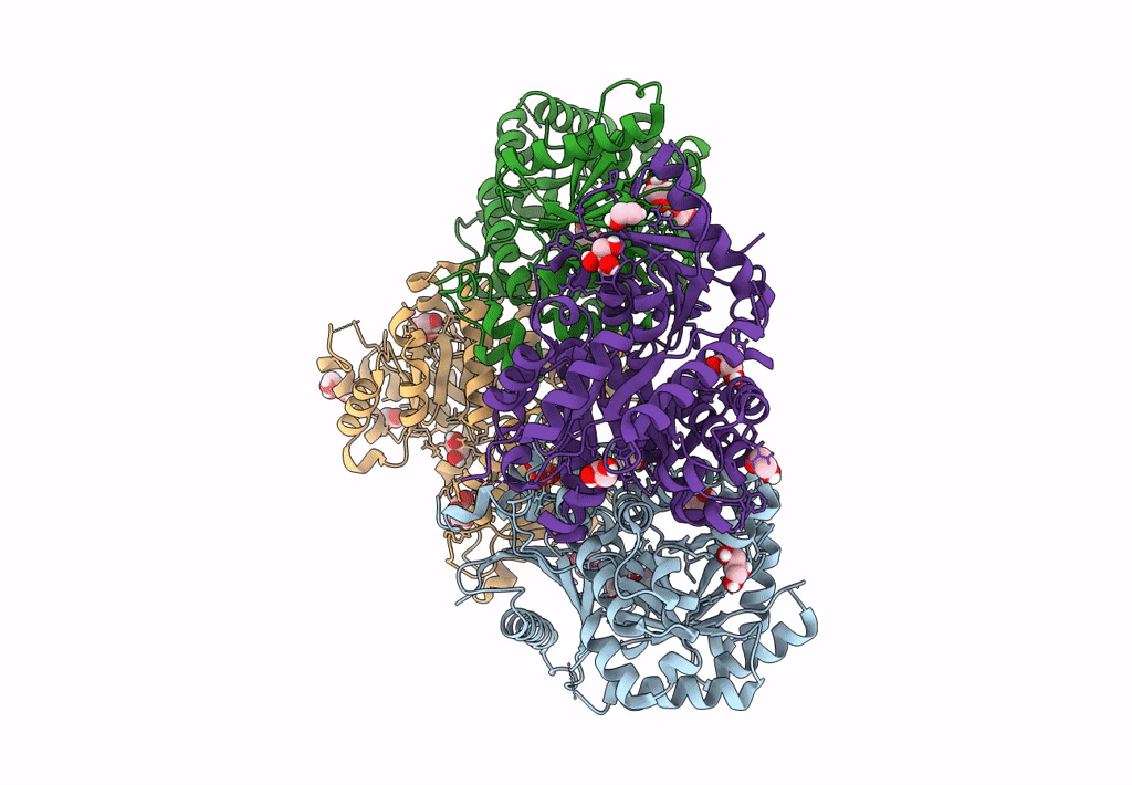 6NN5 image