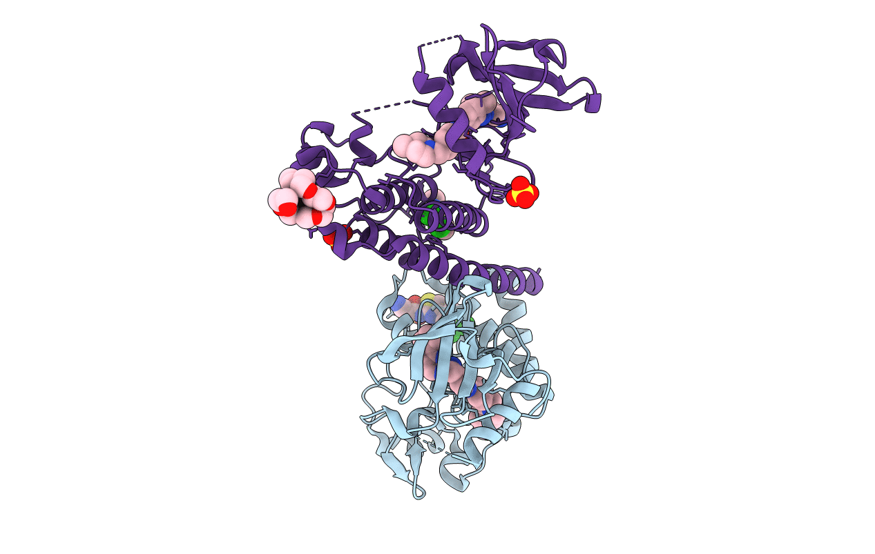 6NPE image