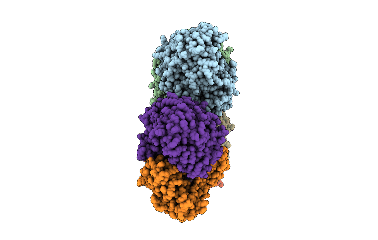 6NPF image