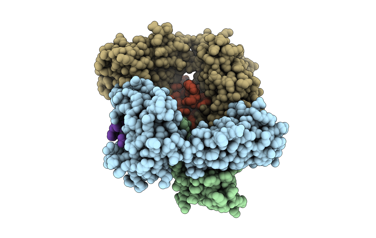 6NPR image