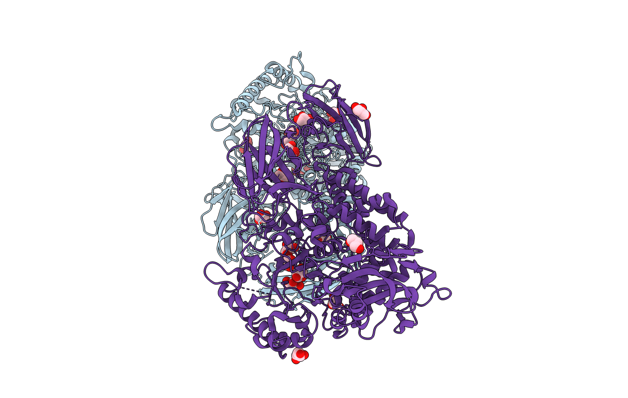 6NPS image