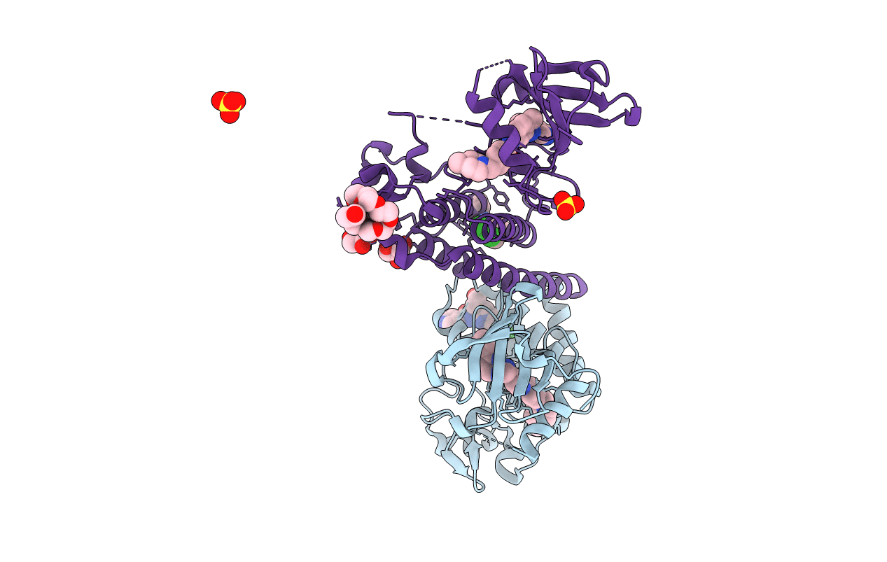 6NPV image