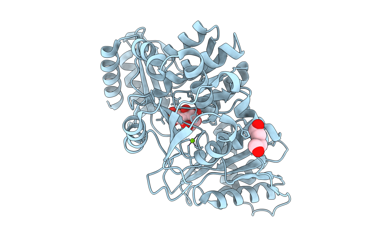 6NPX image