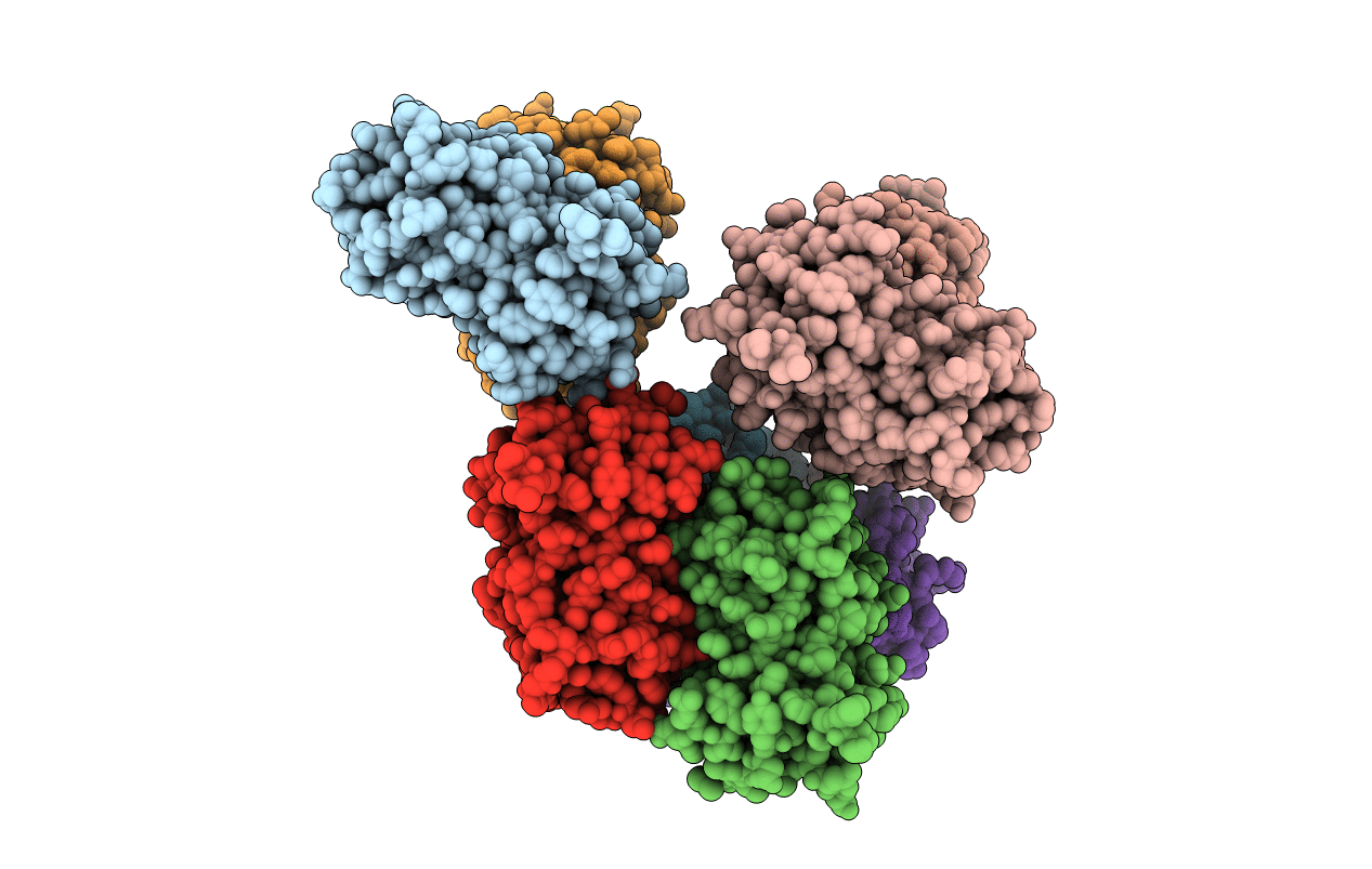6NQV image