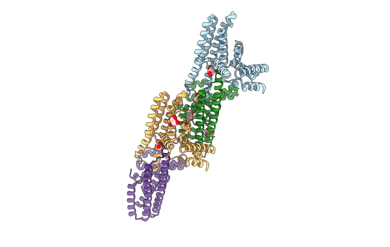6NQX image