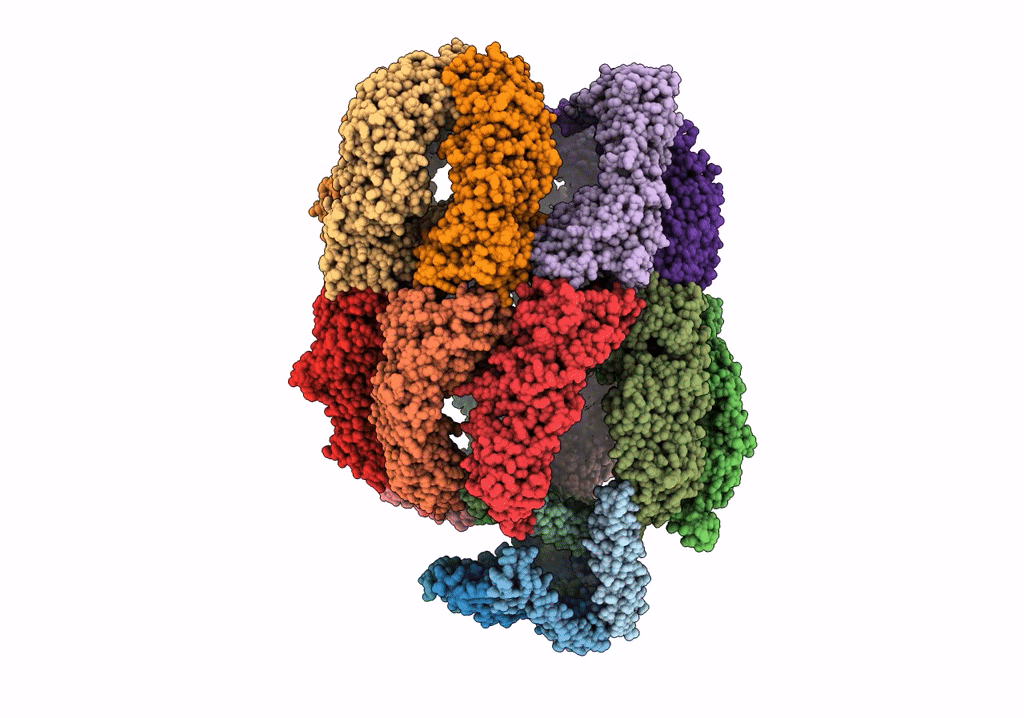 6NRC image