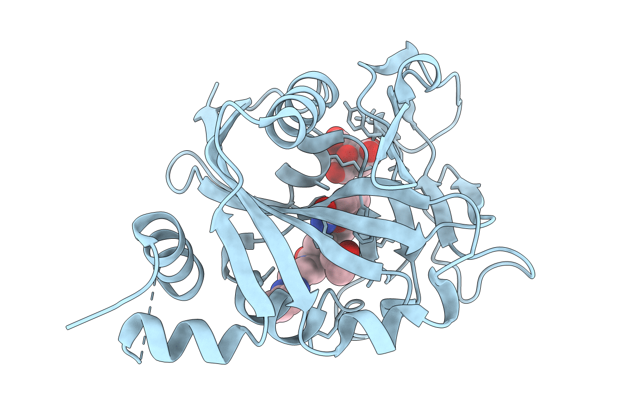 6NRF image