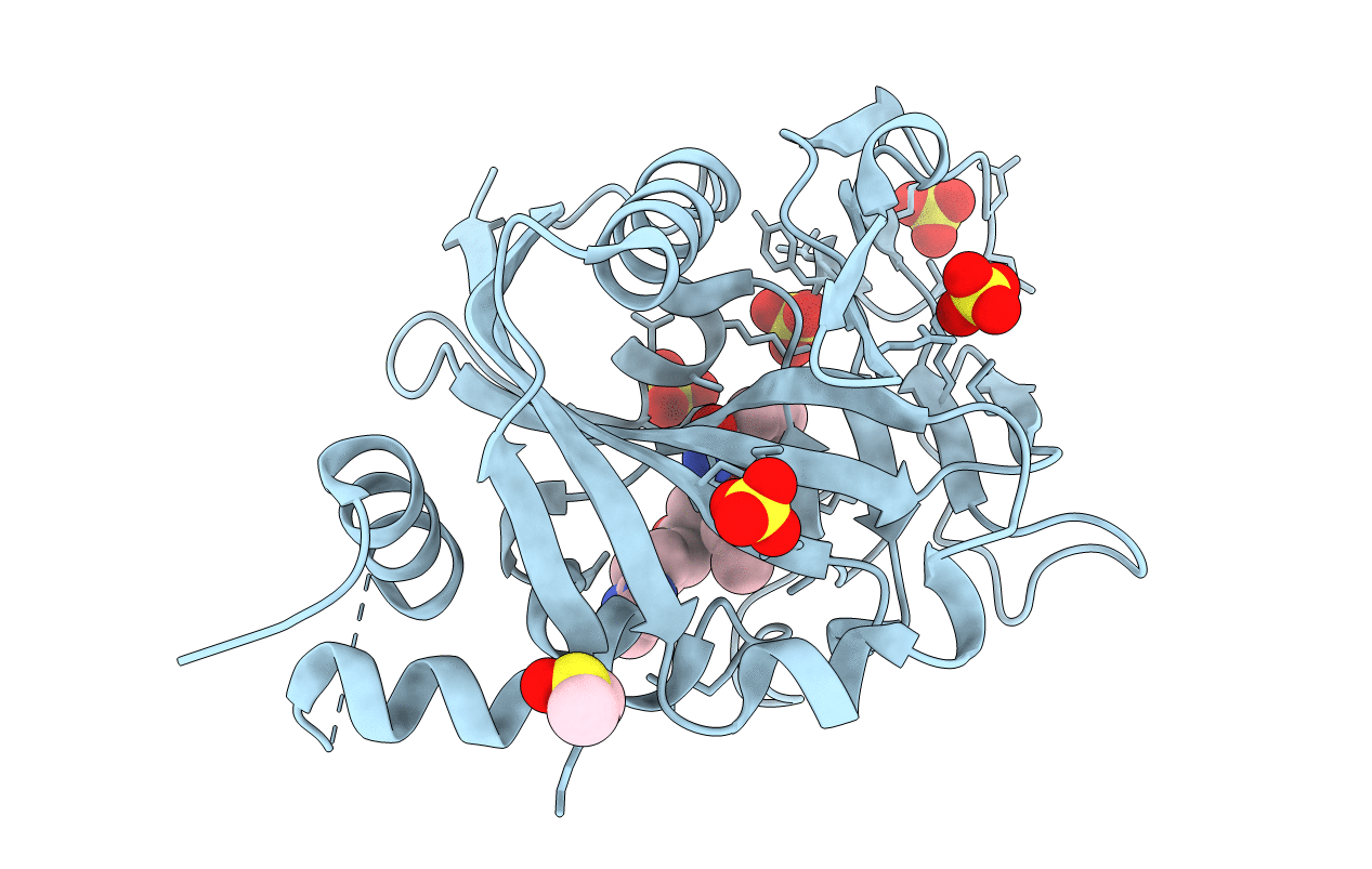 6NRH image