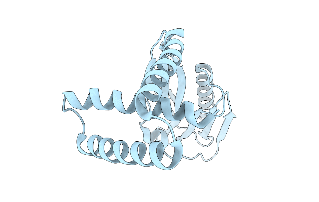 6NRL image