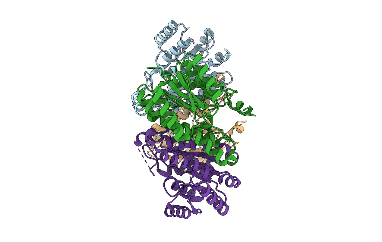 6NRP image