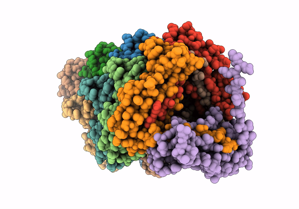 6NRV image