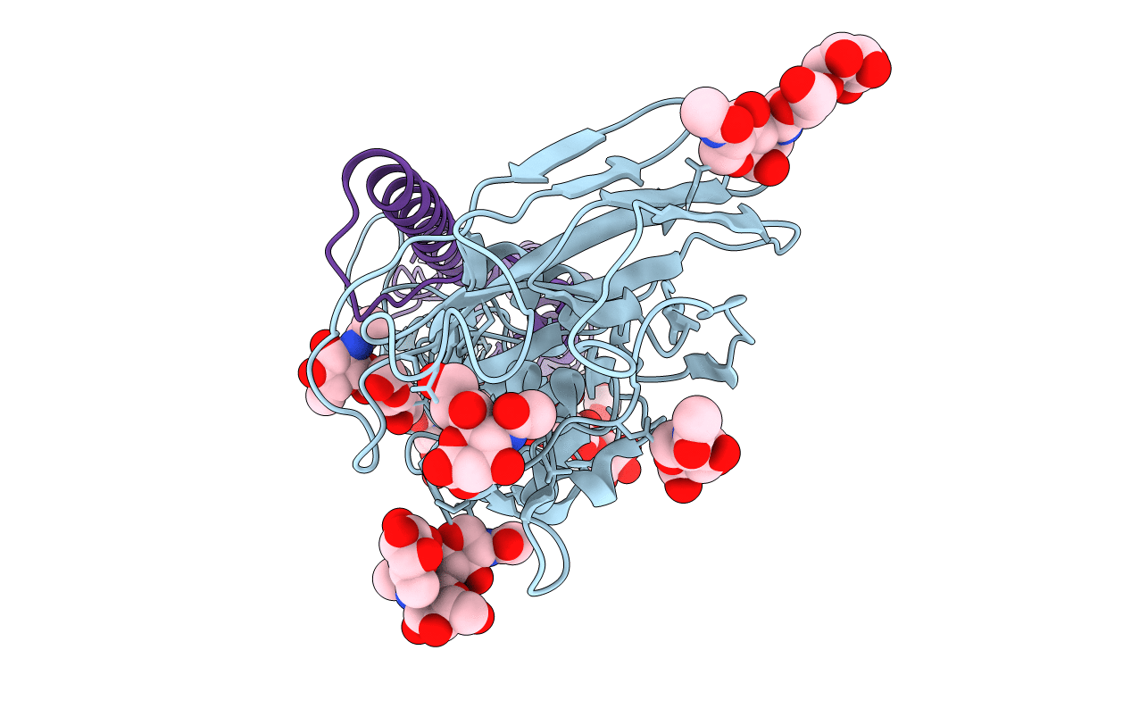 6NSF image
