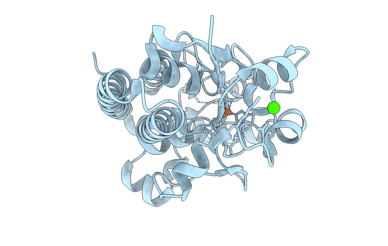 6NSI image