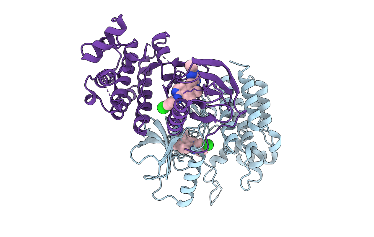 6NSQ image