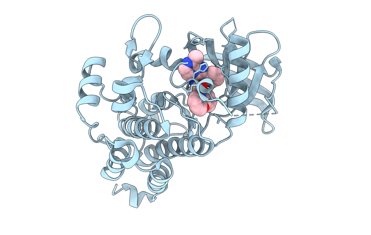 6NSS image