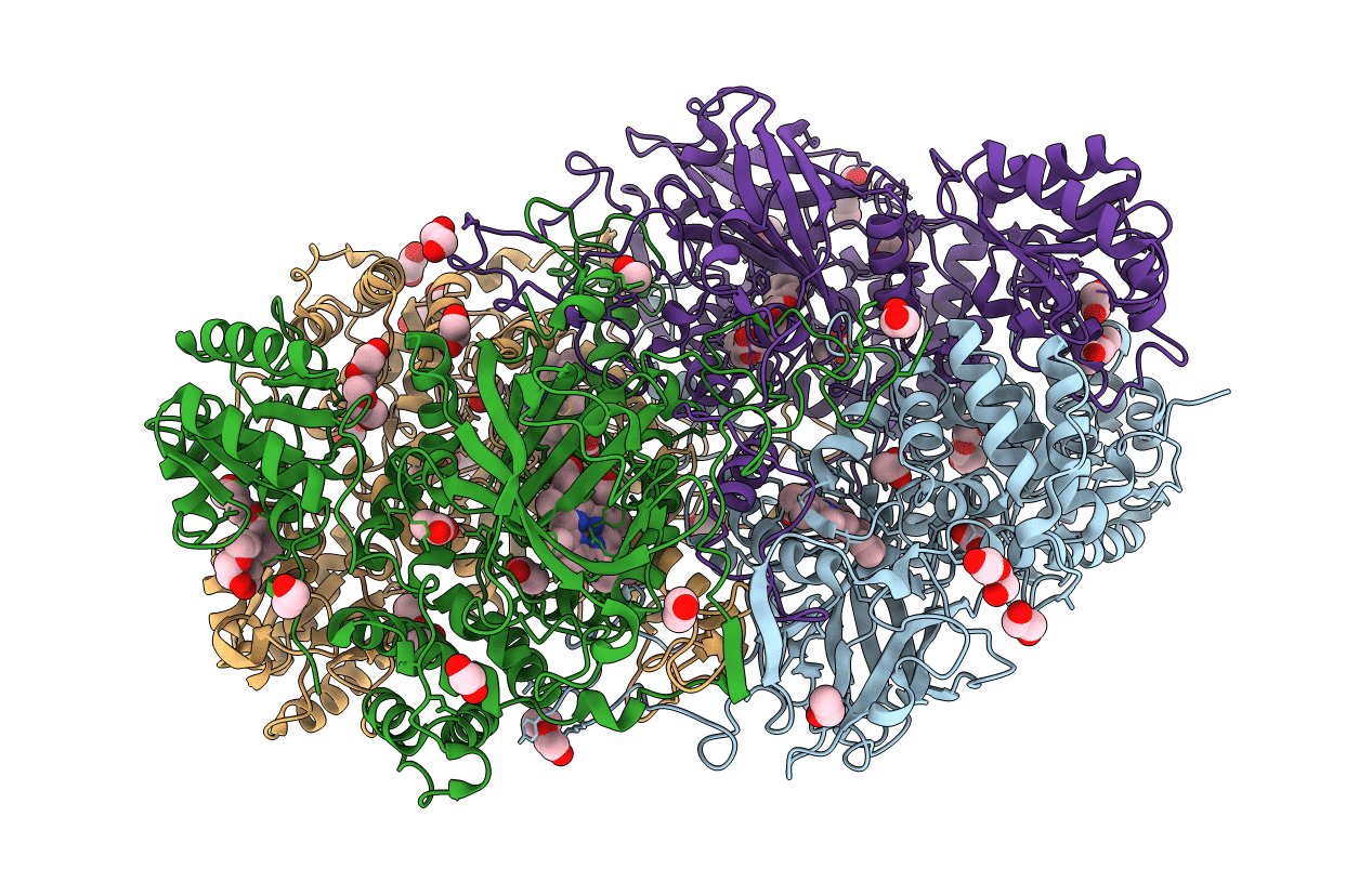 6NSZ image