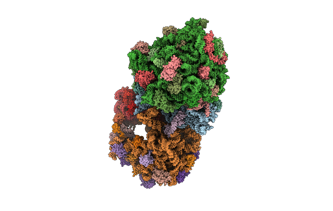 6NTA image