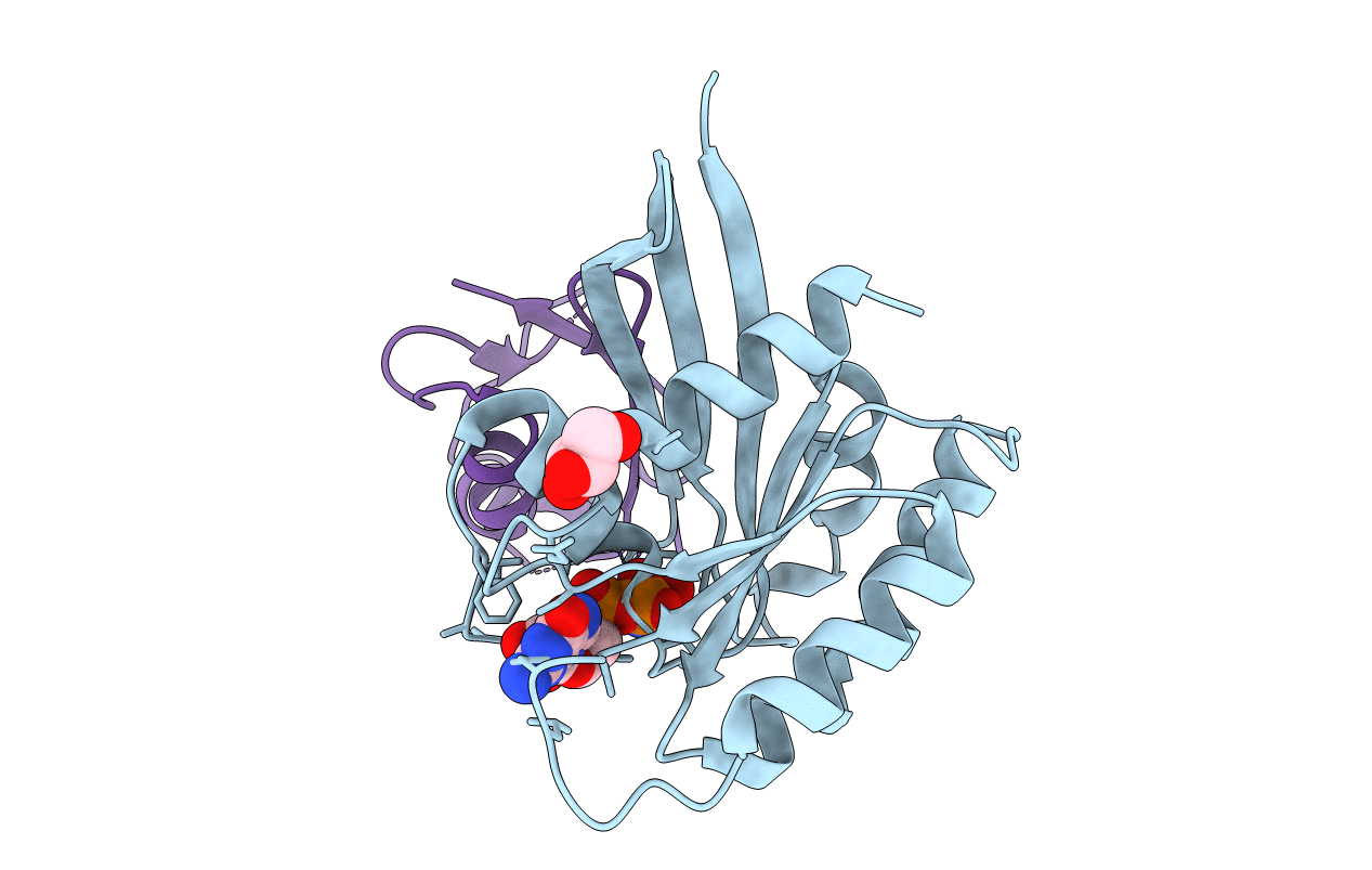 6NTC image