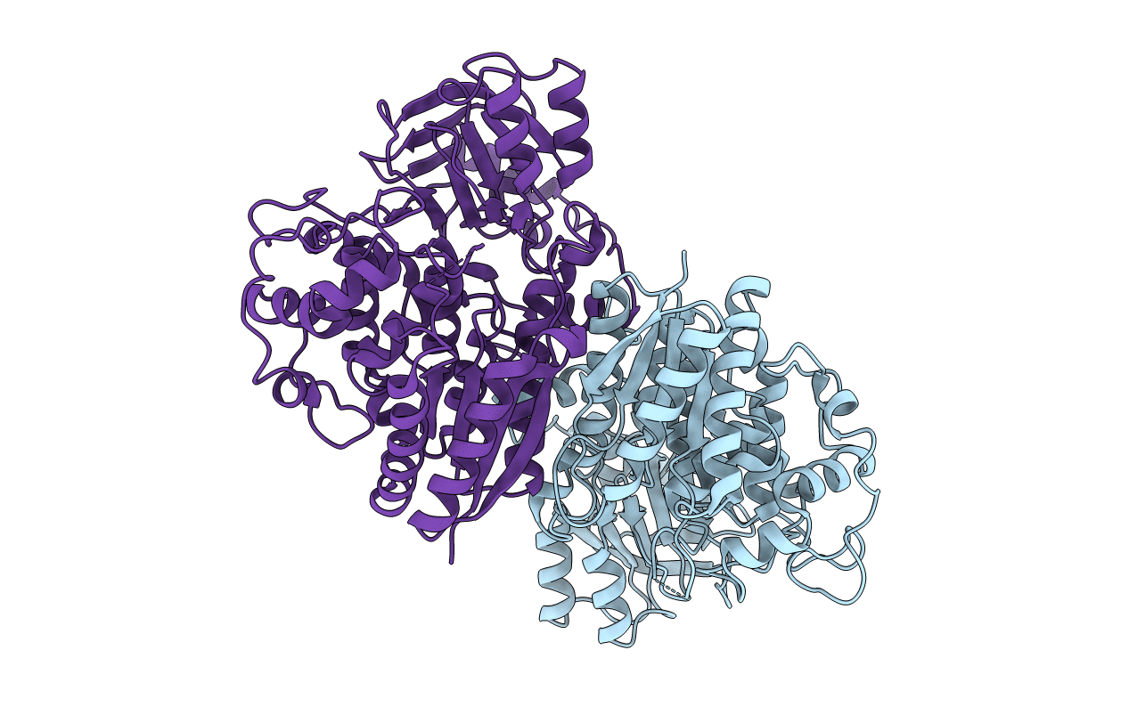 6NTE image