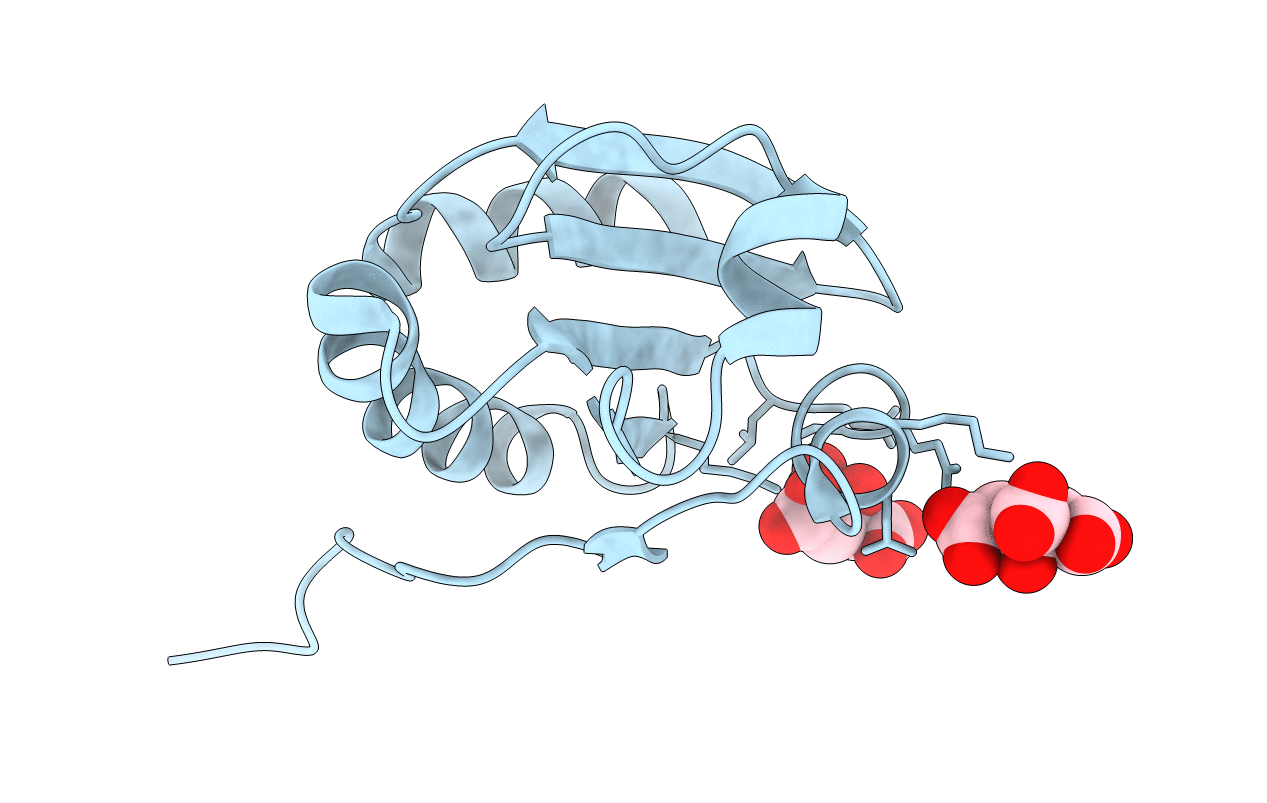 6NUP image
