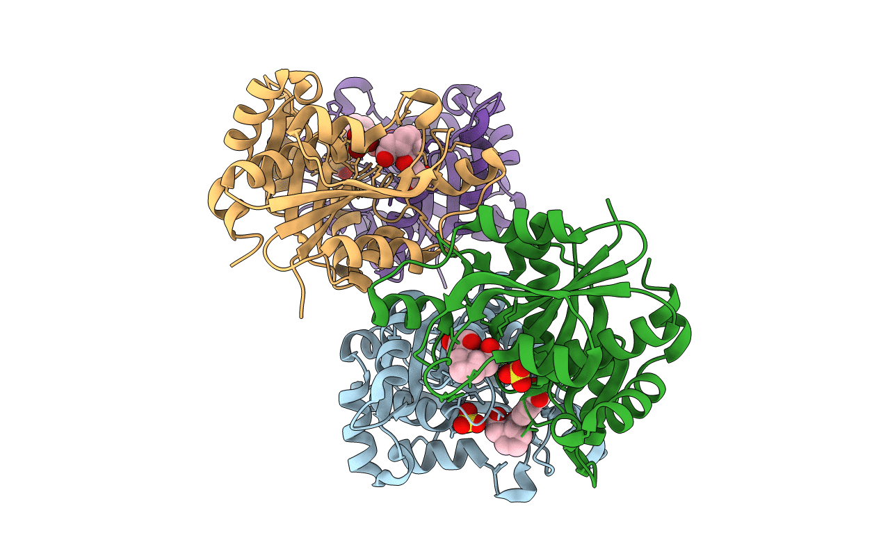 6NVC image