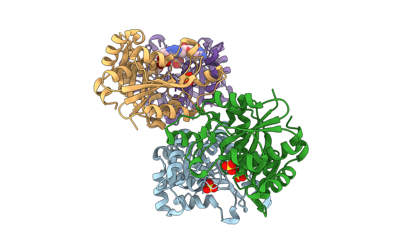 6NVD image