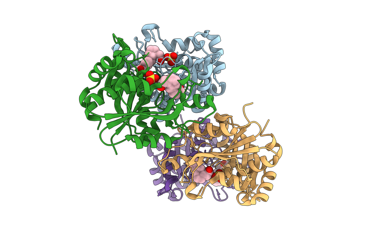 6NVF image